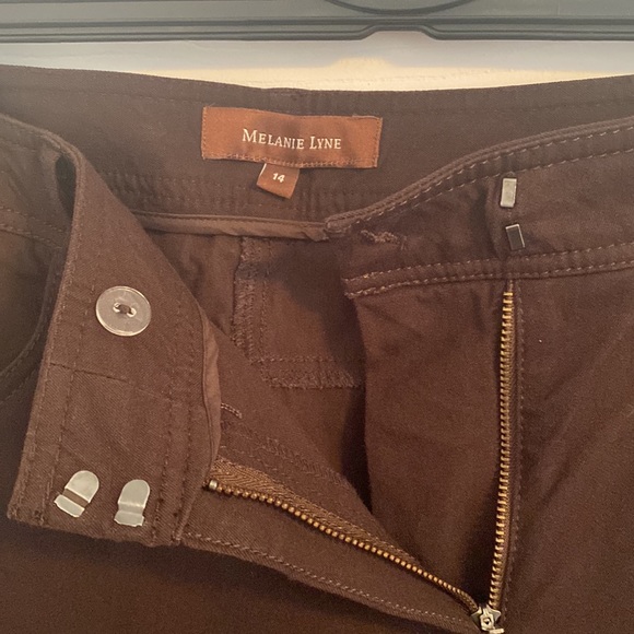 Brown Wide Leg Pants - Picture 3 of 8